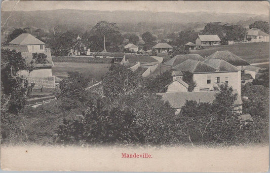 Jamaica Postcard: Mandeville Hillside View Town Panorama c1905 XT3436