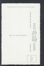 Load image into Gallery viewer, Somerset Postcard - Pillar's in Solomon's Temple, Gough's Caves, Cheddar RS20365
