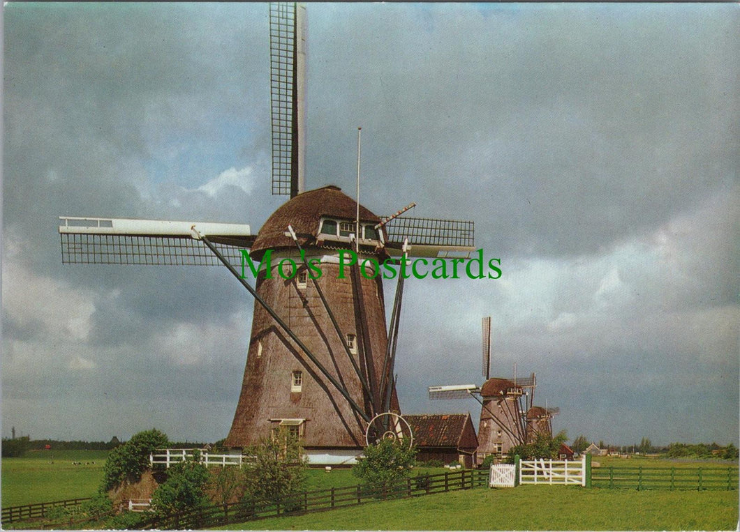Netherlands Postcard - Windmills - Molenland, Land of Wind-Mills  RR16047