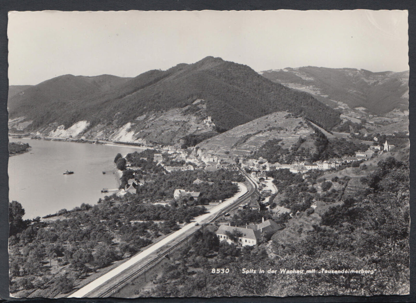 Austria Postcard - Splitz in Der Wachau, Mit Tausendeimerberg   RR5429