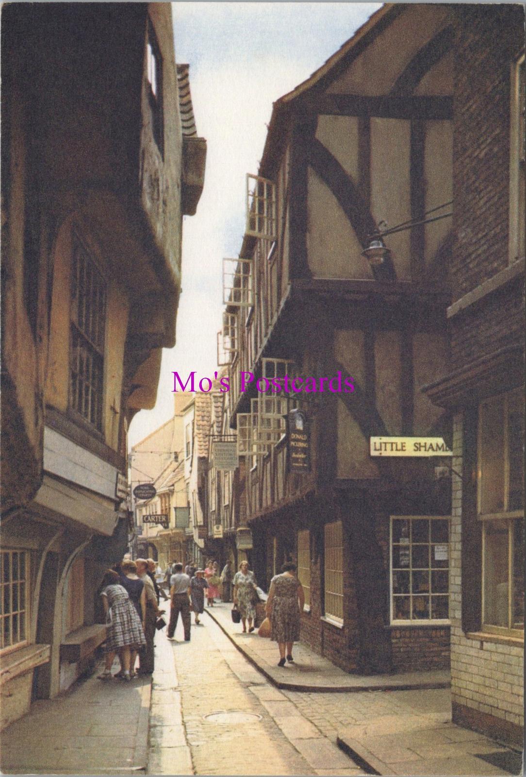 Yorkshire Postcard - York, The Shambles   RR20482