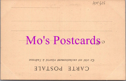 France Postcard - Pau, Vue Generale Prise Du Boulevard Du Midi   HM426