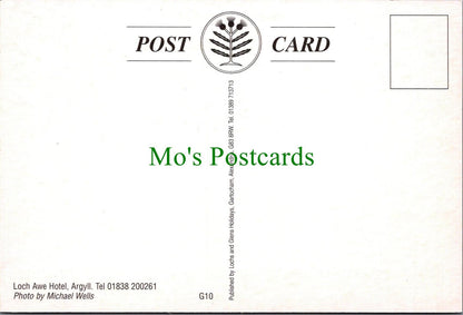 Scotland Postcard - Loch Awe Hotel, Argyll  RRR1324