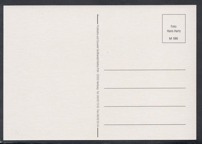 Germany Postcard - Herzliche Grusse Aus Hamburg  RR5723