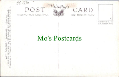 Wales Postcard - Dolgelley, Precipice Walk. Artist Brian Gerald  DC1530