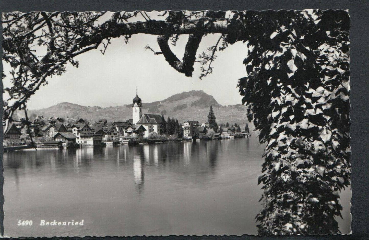 Switzerland Postcard - View of Beckenried, Nidwalden    T4953