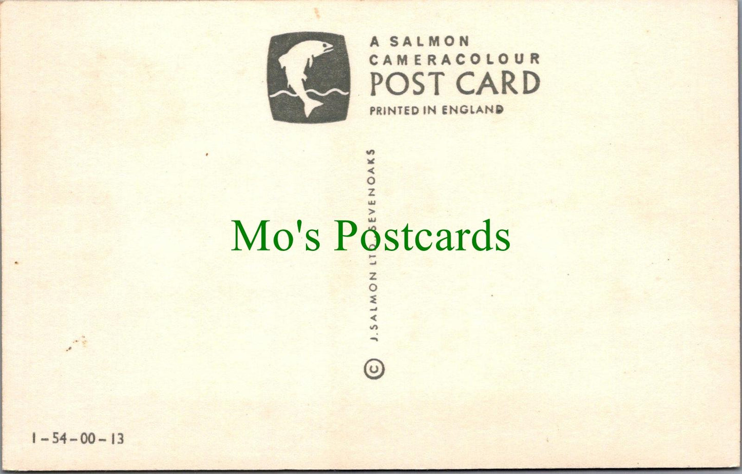 Dorset Postcard - Greetings From Darzet, Man Drinking Alcohol  RS32011