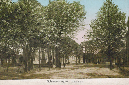 Germany Postcard - Schneverdingen Marktplatz, Lower Saxony  XT40
