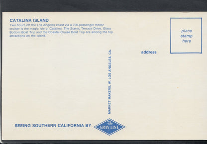 America Postcard - Catalina Island, California  T9071