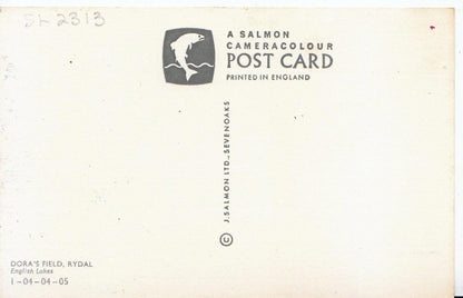 Cumbria Postcard - Dora's Field, Rydal   SL2313