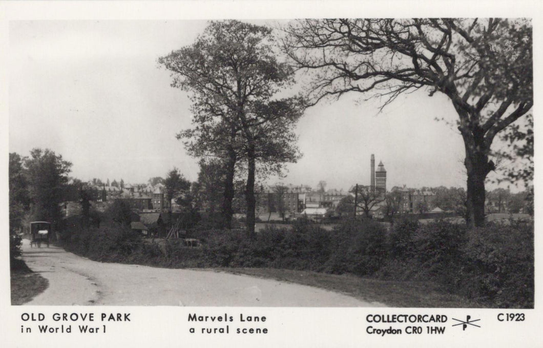 London Postcard -Lewisham, Old Grove Park in WW1, Marvels Lane, Rural Scene- XT9