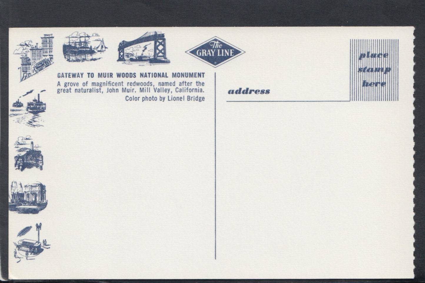 America Postcard - Muir Woods National Monument, Mill Valley, California RS20247