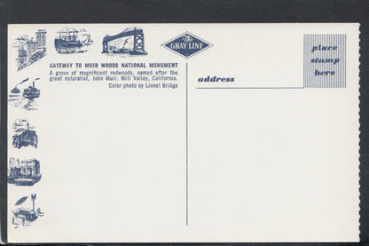 America Postcard - Muir Woods National Monument, Mill Valley, California RS20247