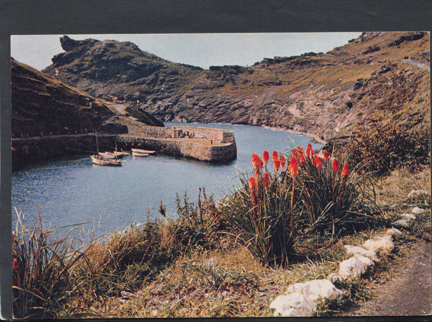 Cornwall Postcard - Boscastle Harbour  RR4860