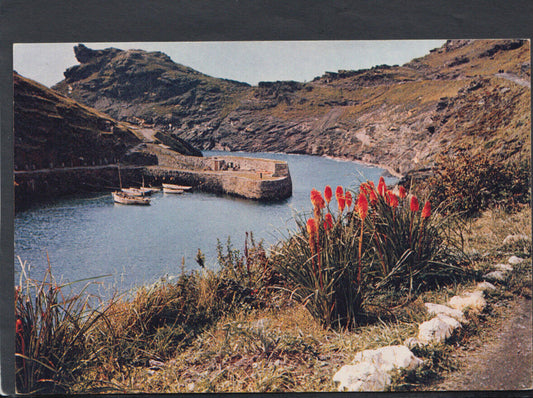 Cornwall Postcard - Boscastle Harbour  RR4860