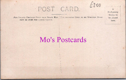 Social History Postcard: Christmas Decorations, Large Xmas Dinner Table RS38468