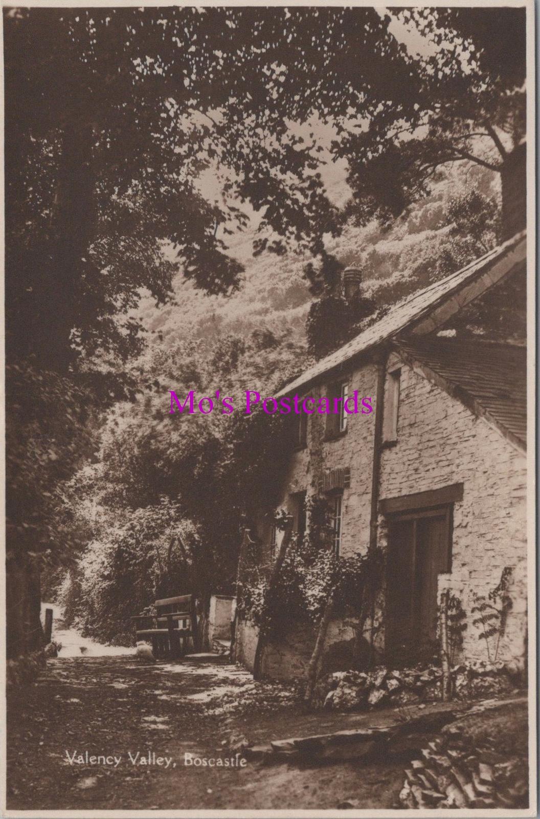 Cornwall Postcard - Boscastle, Valency Valley   HM486