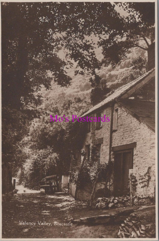 Cornwall Postcard - Boscastle, Valency Valley   HM486