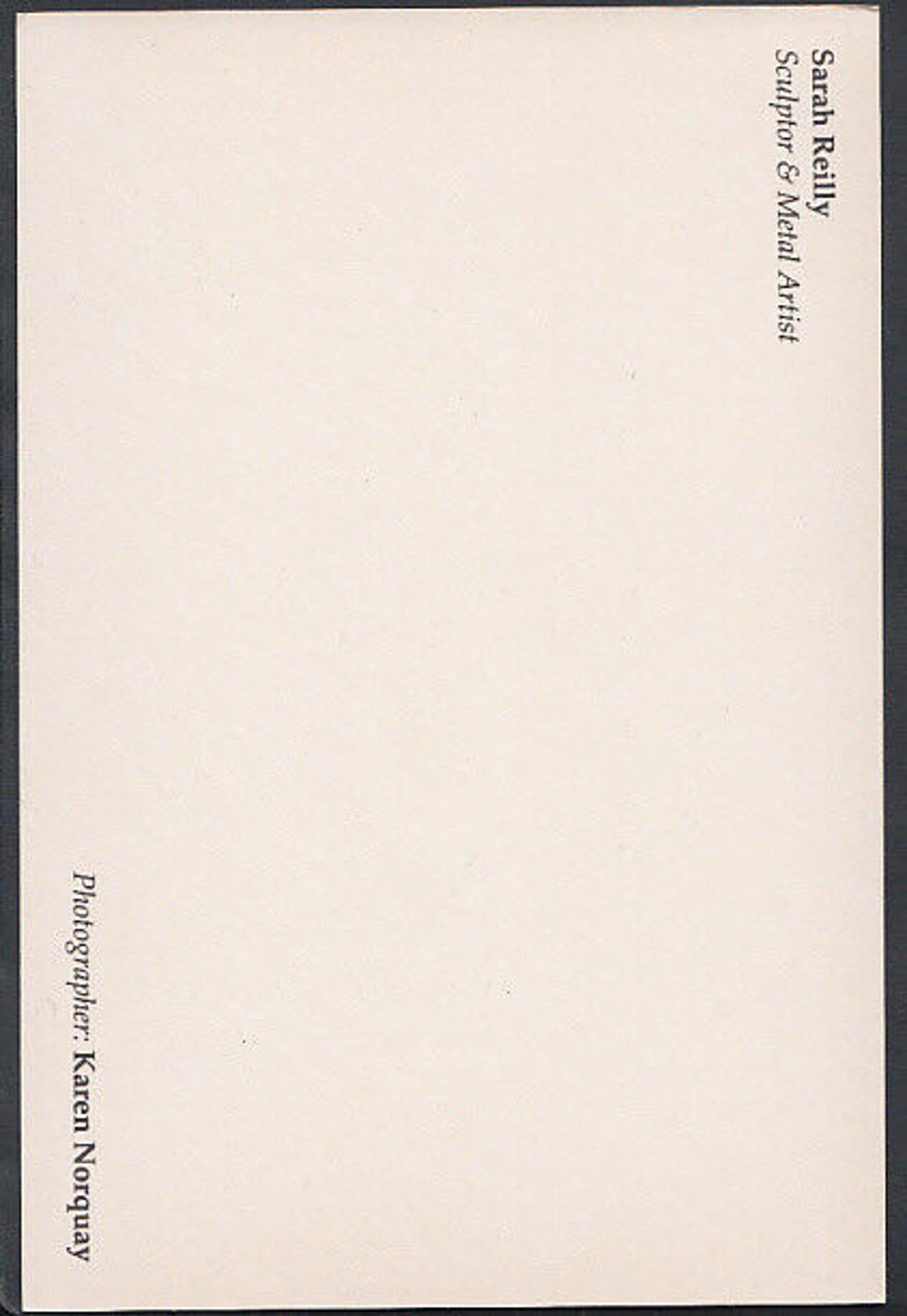 Artist Postcard - Sarah Reilly - Sculptor & Metal Artist - Flowers   RR2482