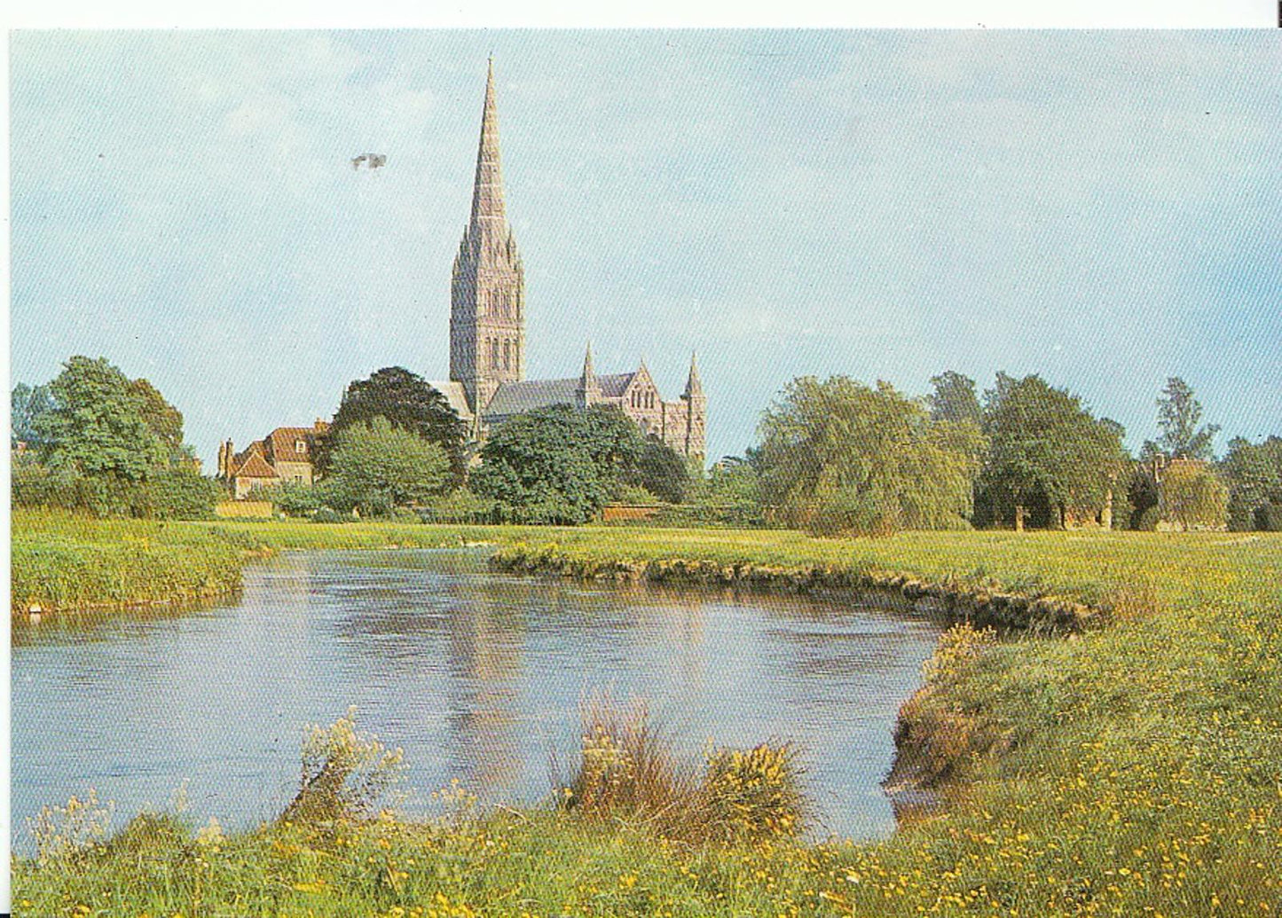 Wiltshire Postcard - Salisbury Cathedral and River Avon   AB993