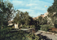 Load image into Gallery viewer, Jordan Postcard - Garden of Gethsemani Jerusalem    RRR18
