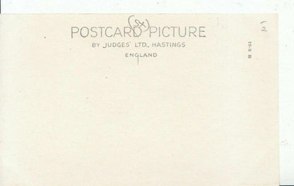 Sussex Postcard - Arundel, Swanbourne Park, Evening Shadows   ZZ3973