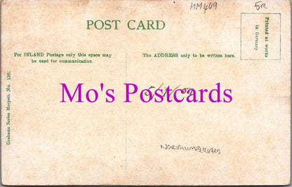 Northumberland Postcard - Morpeth From Castle  HM409