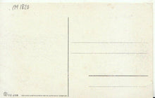 Load image into Gallery viewer, Germany Postcard - Magdeburg Stadtpark - Metz &amp; Lautz  TZ11053
