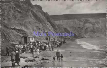 Isle of Wight Postcard - Alum Bay Sand Collecting  DC2138