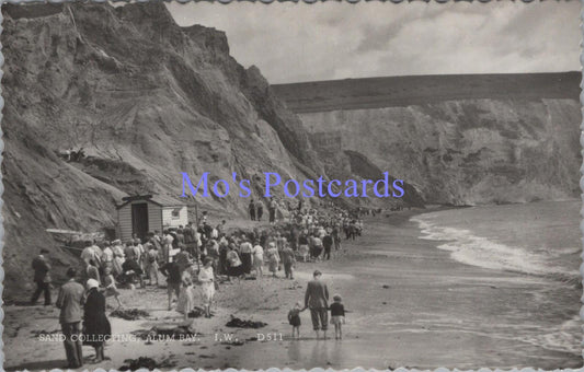 Isle of Wight Postcard - Alum Bay Sand Collecting  DC2138