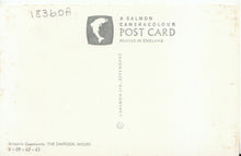 Load image into Gallery viewer, Flowers Postcard - The Daffodil Wood - Showing Lady &amp; Small Child   18360A
