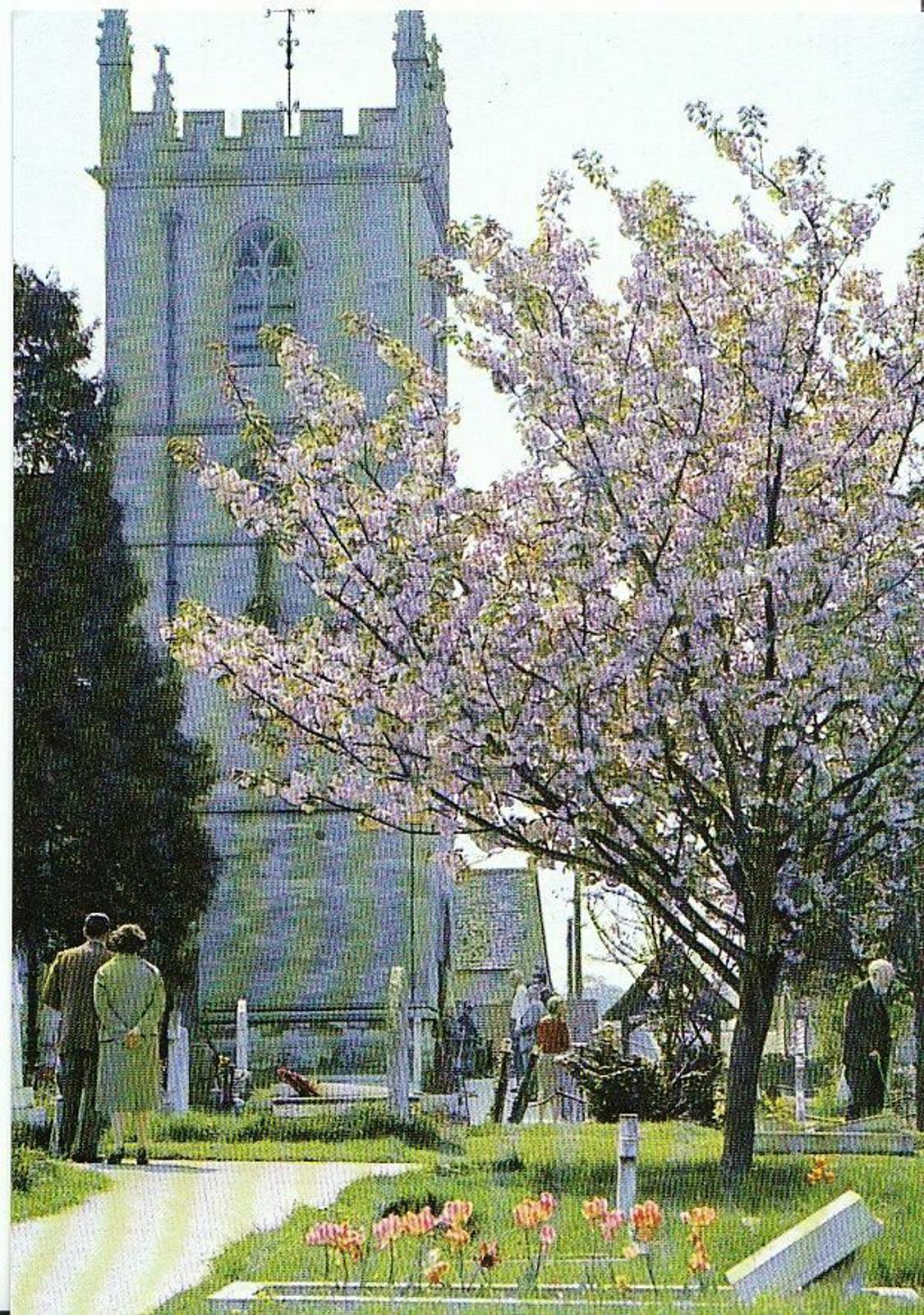 Oxfordshire Postcard - St Martin's Church, Bladon, Woodstock   AB465