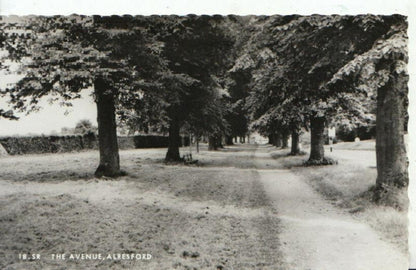 Hampshire Postcard: The Avenue, Alresford RPPC  2031A