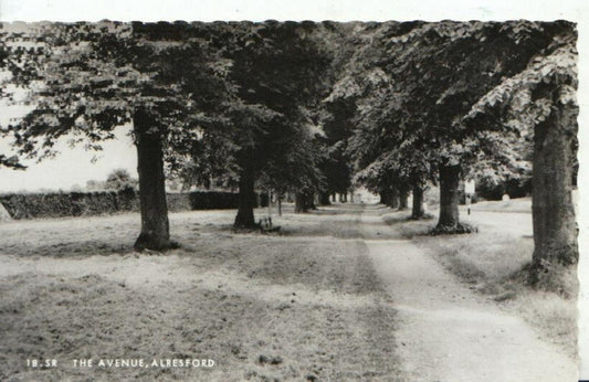 Hampshire Postcard: The Avenue, Alresford RPPC  2031A
