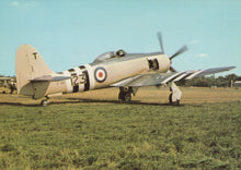 Load image into Gallery viewer, Military Aviation Postcard - Hawker Sea Fury FB 11 Aeroplane RR9823
