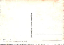 Load image into Gallery viewer, Italy Postcard - Roma / Rome - Piazza S.Pietro Dall&#39;Aereo  RRR1417
