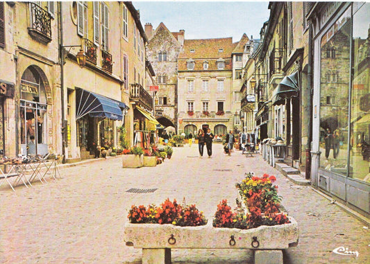 France Postcard - Semur-En-Auxois - [Cote-d'Or], Rue Buffon  SM314