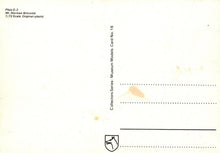 Load image into Gallery viewer, Military Aviation Postcard - Pfalz D.III of Jasta 10, 1917 Aeroplane    RR9808
