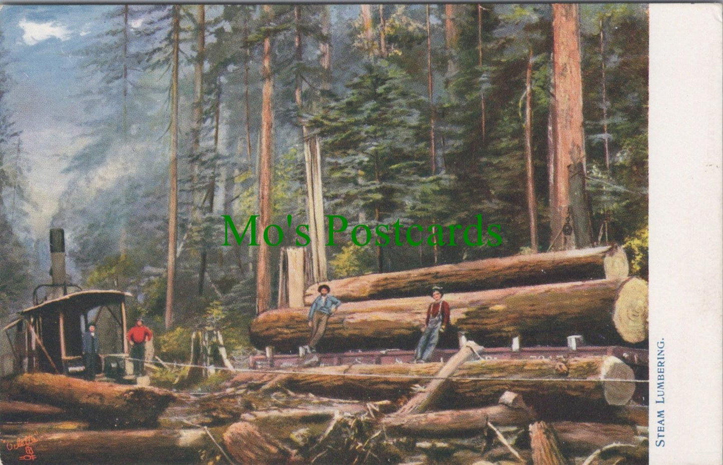 Industry Postcard - USA - California Giant Trees - Steam Lumbering  RS29358