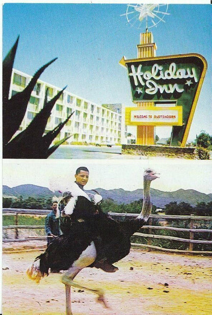 South Africa Postcard - Oudtshoorn Holiday Inn, Ostrich  AB971