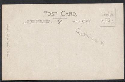 Wiltshire Postcard: Ebbesbourne Wake Street View Nr Salisbury 1900s RPPC MB346