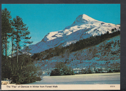 Scotland Postcard - The "Pap" of Glencoe in Winter From Forest Walk    RR4790