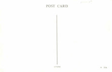 Load image into Gallery viewer, Surrey Postcard - The "Red Lion", Thursley (Repro) RS21834
