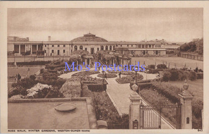 Somerset Postcard - Weston-Super-Mare, Rose Walk, Winter Gardens  DC2142