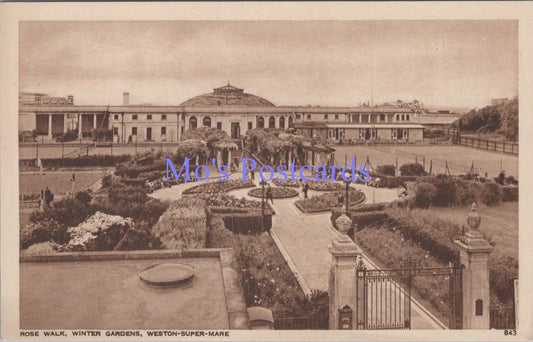 Somerset Postcard - Weston-Super-Mare, Rose Walk, Winter Gardens  DC2142