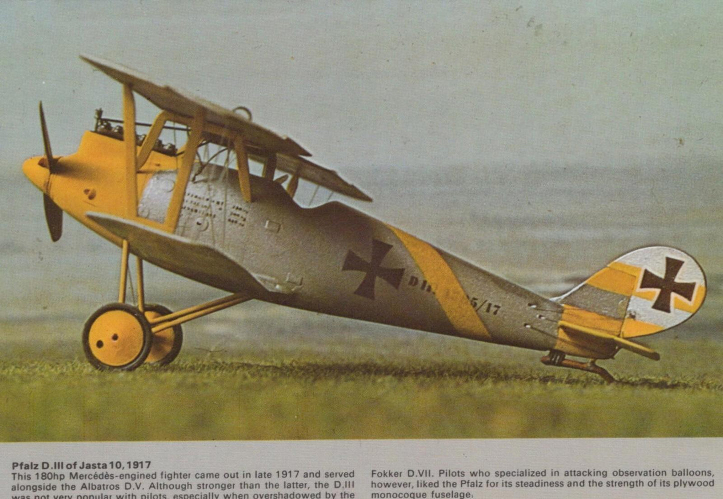 Military Aviation Postcard - Pfalz D.III of Jasta 10, 1917 Aeroplane    RR9808