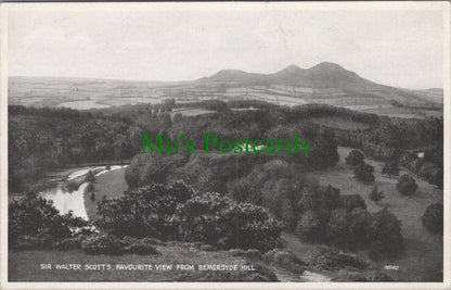 Scotland Postcard - Bemersyde Hill, Sir Walter Scott's Favourite View DC2594