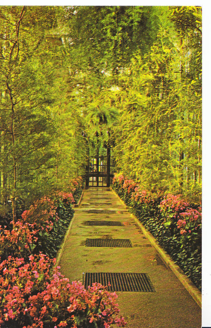 America Postcard - Longwood Gardens, Kennett Square, Pennsylvania   SL401