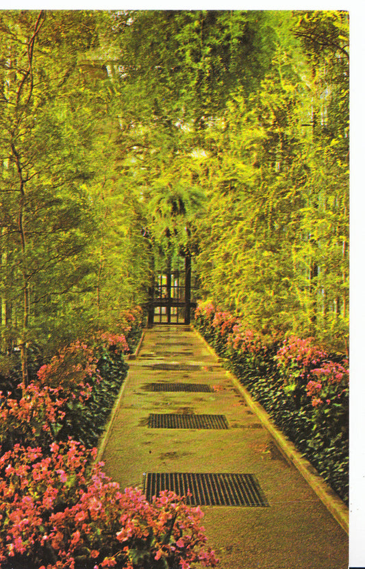 America Postcard - Longwood Gardens, Kennett Square, Pennsylvania   SL401