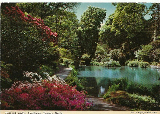 Devon Postcard - Pond and Gardens, Cockington, Torquay  AB849